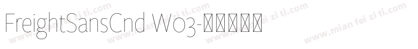 FreightSansCnd W03字体转换